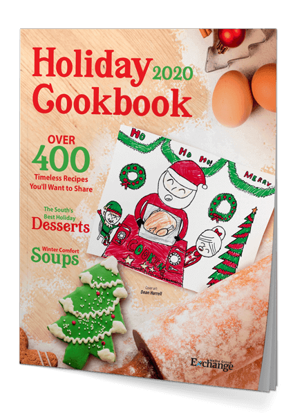 newton kansan holiday cookbook